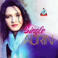 Baba Bochai Pagla Salma Akter Aurin Song Download Mp3