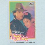 Ab To Tumhe Hai Dikhana Udit Narayan,Abhijeet Song Download Mp3