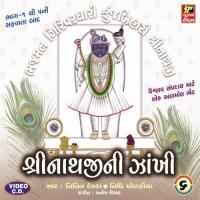 Tan Man Dhan Shriji Nitin Devka,Nidhi Dholkiya Song Download Mp3