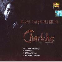 Tere Bina(Remix) Rahat Fateh Ali Khan Song Download Mp3