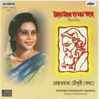 Tomar Bas Kotha Je Pathik Ogo Rezwana Choudhury Bannya Song Download Mp3