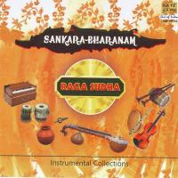 Buddhi Raadu S. Balachander Song Download Mp3