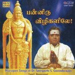 Vallikkanavan Dr. Seerkazhi S. Govindarajan Song Download Mp3