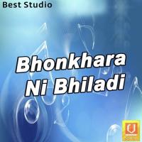 A Hu To Lavyo Chu Bhratdan Tukdiwala Song Download Mp3