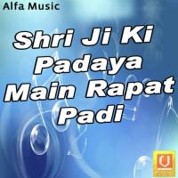 Digi Puri Main Shri Kalyan Man Kanchan Sapera Song Download Mp3