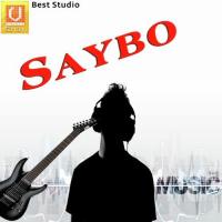 Saybo Aayo Re Devika Thakor Song Download Mp3