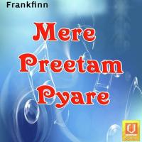 Mere Preetam Pyare Bhai Tarbalbir Singh Ji Song Download Mp3