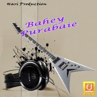 Bahey Purabaie Raman Choudhary Song Download Mp3