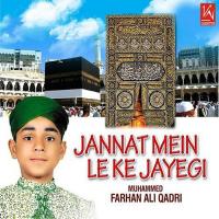 Jannat Mein Le Ke Muhammed F Ali Qadir Song Download Mp3