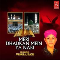 Meeran Walliyon Ke Muhammed F Ali Qadir Song Download Mp3