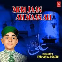 Haq Qalander Haq Muhammed F Ali Qadir Song Download Mp3