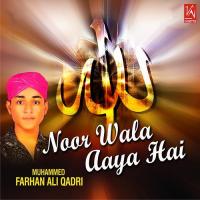 Noor Wala Aaya Hai Muhammed F Ali Qadir Song Download Mp3