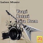 Vaagi Katari Tara Vaagi Katari Tara Song Download Mp3