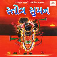 Shri Vishnu Sahastra Namavli Darshna Gandhi Song Download Mp3