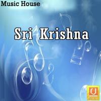 Om Vasudevayanamaha T. Krishna Rao Song Download Mp3