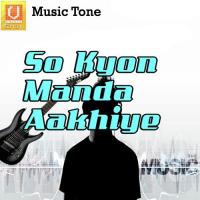 Main Andhule Ki Tek Bhai Satnaam Singh Song Download Mp3