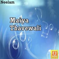 Kavan Fulva Foole Radheshyam Rasiya,Dhrupji Premi,Rekha Mishra Song Download Mp3