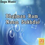 Hari Naam Instrumental Song Download Mp3