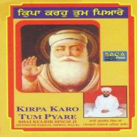 Tumri Sharan Tumari Bhai Kulbeer Singh Ji Song Download Mp3