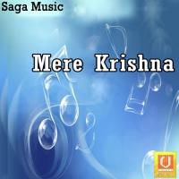 Mere Krishna Sonali Song Download Mp3