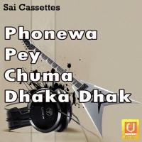 Mai Ho Petwa Mein Sunil Kariva Song Download Mp3