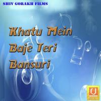 Baga Kesariya Hina Sen,Dilbar Husen Song Download Mp3