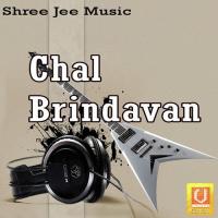 Bhaj Narayan Bhaj Acharya Piyush Song Download Mp3