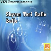 Shyam Tere Bhakto Ko Kahaiya Mittal Song Download Mp3