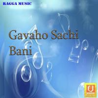 Tu Sada Salamat Bhai Navraj Singh Ji Song Download Mp3