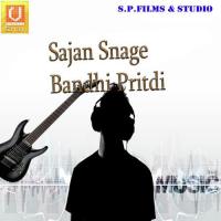 Namni Tu To Nar Viren Prajapati,Damyanti Barot Song Download Mp3