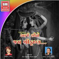 Have Koi Na Karsho Mari Fikar Hemant Chauhan Song Download Mp3