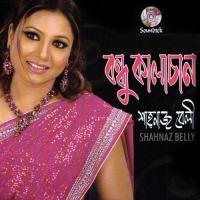 Bishoybostu Barlo Joto Shahnaz Belly Song Download Mp3