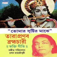 Tomar Sristir Majhe Tara Pranab Brahmachari Song Download Mp3