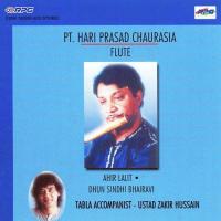 Raga Ahir Lalit Alap N Jor Jhala Pt. Hariprasad Chaurasia Pt. Hariprasad Chaurasia Song Download Mp3