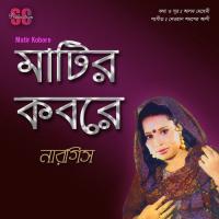 Amay Shajaiya De Shokhi Nargis Song Download Mp3