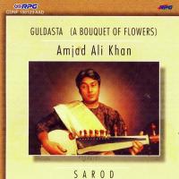 Each Dawn Renews Our Dream Bhairavi Ustad Amjad Ali Khan Ustad Amjad Ali Khan Song Download Mp3