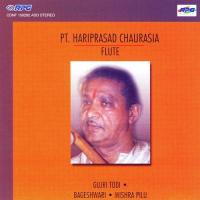 Rageshwari Pt. Hari Prasad Chaurasia Pandit Hariprasad Chaurasia Song Download Mp3