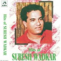 Zindagi Har Janam Lata Mangeshkar,Suresh Wadkar,Vinod Rathod Song Download Mp3