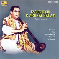 Mamavatu Sri Sarasvati Nadaswara Isaichelvam,Karukurichi P. Arunachalam Song Download Mp3