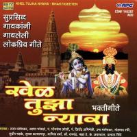 Vithal Ha Chitti Pt. Bhimsen Joshi Song Download Mp3