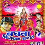 Navmi Ke Din Bate Sonu Nirala Song Download Mp3