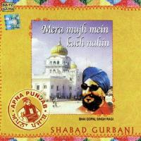 Tu Mera Pita Bhai Gopal Singh Ragi Song Download Mp3