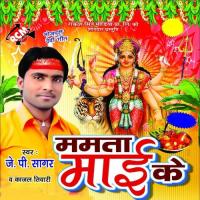 Tu Rahsu Me Kawan Gun Pailu Ho J. P. Sagar Song Download Mp3