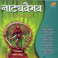 Hosi Kaisa Bhrant Chitta Tu Pt. Shivanand Patil Song Download Mp3