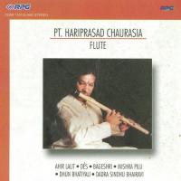 Bageshwari Gat Pt. Hariprasad Chaurasia Pt. Hariprasad Chaurasia Song Download Mp3