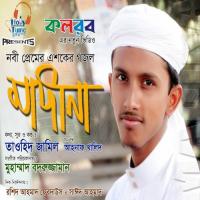 Madina Tawhid Jamil Song Download Mp3