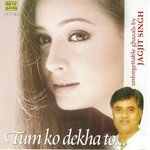 Mere Dil Ne Kaha Jagjit Singh Song Download Mp3