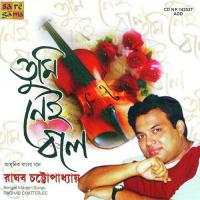 Nijhum E Rate Raghab Chatterjee Song Download Mp3