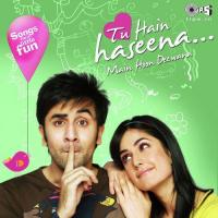 Kaun Main Haan Tum (Ajnabee) Udit Narayan,Alka Yagnik,Akshay Kumar,Bobby Deol,Kareena Kapoor,Bipasha Basu Song Download Mp3