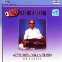 Chatusra Jaathi Triputa Umayalpuram K. Sivaraman Umayalpuram K. Sivaraman Song Download Mp3